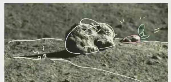 我的未来不是梦吉他谱，我的未来不是梦吉他谱c调（想起了那只万里之外的兔子）