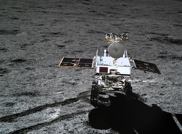 我的未来不是梦吉他谱，我的未来不是梦吉他谱c调（想起了那只万里之外的兔子）