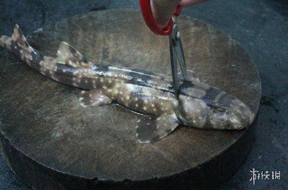 实际上,一些鲨鱼的确能吃,像条纹斑竹鲨(也叫狗鲨),豹纹鲨等等.