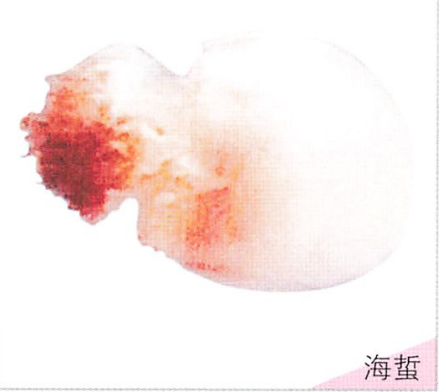 海蜇是什么动物，海蜇是什么动物还是植物（但被它蜇伤可就惨了）