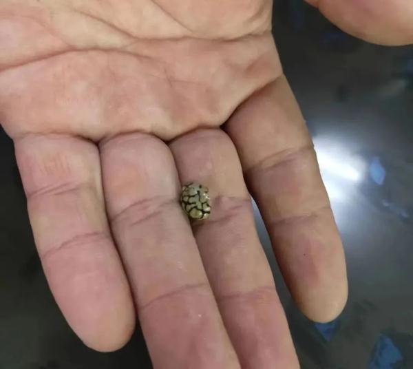 码是多大的鞋(7号鞋子中国是几码)"