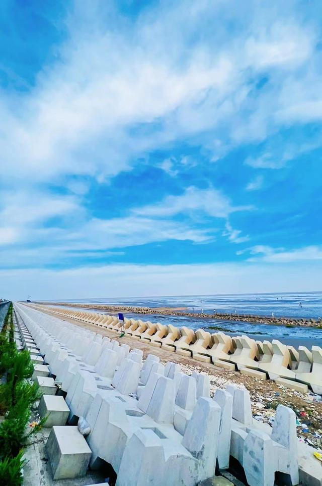 上海有哪些免费开放的海滩，上海有没有免费的海滩（捡贝壳、捉螃蟹、拍“大片”……去南汇追一场盛大的海）