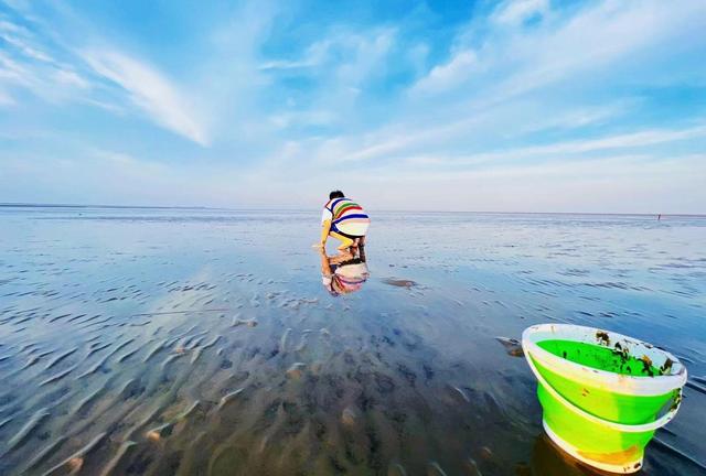 上海有哪些免费开放的海滩，上海有没有免费的海滩（捡贝壳、捉螃蟹、拍“大片”……去南汇追一场盛大的海）