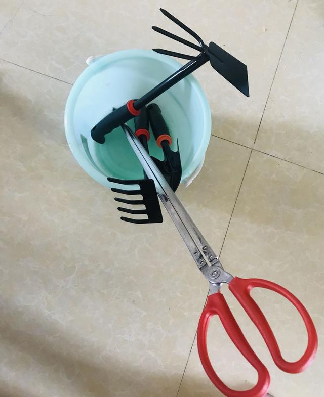 上海有哪些免费开放的海滩，上海有没有免费的海滩（捡贝壳、捉螃蟹、拍“大片”……去南汇追一场盛大的海）