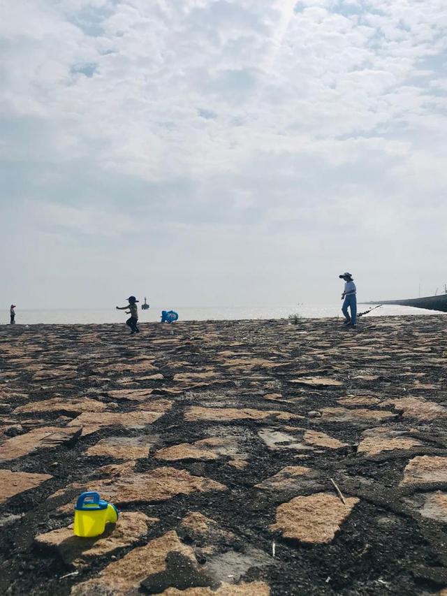 上海有哪些免费开放的海滩，上海有没有免费的海滩（捡贝壳、捉螃蟹、拍“大片”……去南汇追一场盛大的海）