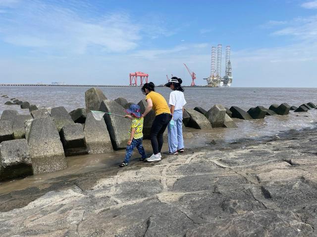 上海有哪些免费开放的海滩，上海有没有免费的海滩（捡贝壳、捉螃蟹、拍“大片”……去南汇追一场盛大的海）