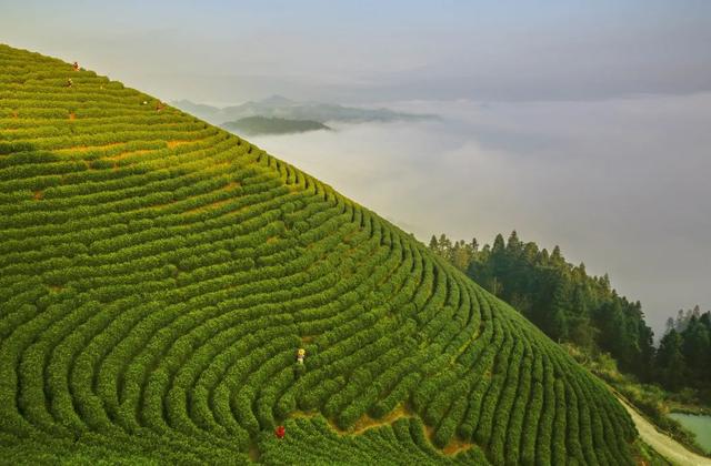 杭州市千岛湖旅游攻略，杭州千岛湖旅游景点大全（来千岛湖开启另一种风情吧~）