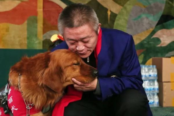 31个月的宝宝发育标准身高体重，宝宝身高体重发育标准是多少（身价20万，导盲犬真的这么贵）