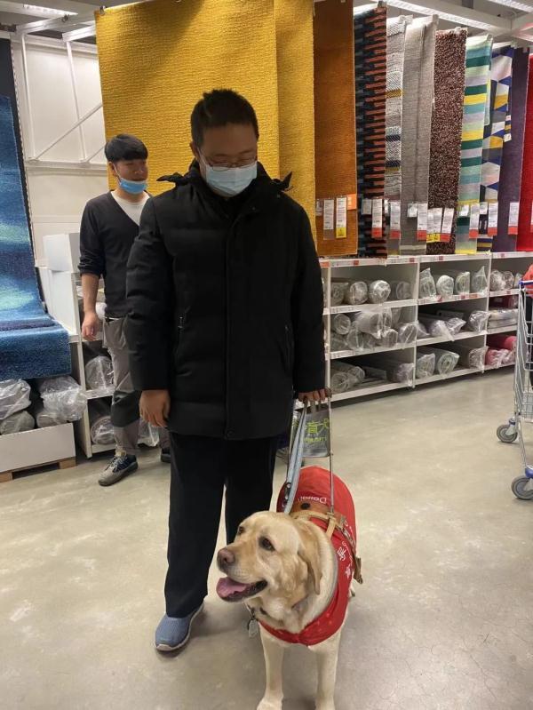 31个月的宝宝发育标准身高体重，宝宝身高体重发育标准是多少（身价20万，导盲犬真的这么贵）