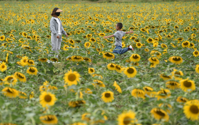 2022年端午节和中秋节分别是哪天 2022年端午中秋是几月几号，2022年端午节和中秋节分别是哪天（2022年中秋小长假盘点）