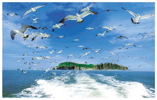 比的第二笔是什么名称是什么，比字的第二笔名称是什么（跨过山和大海，走近诗和远方）