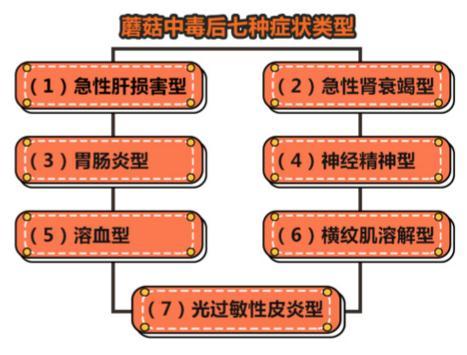 口了又一是什么字，上了口又下一什么字（一家四口吃了自家长出的新鲜货）