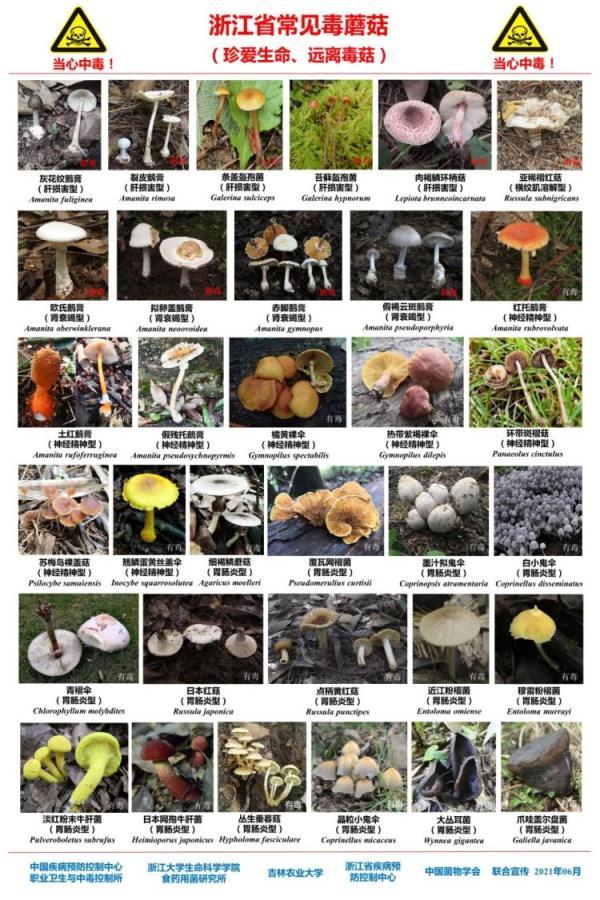 口了又一是什么字，上了口又下一什么字（一家四口吃了自家长出的新鲜货）