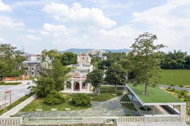 雨后春笋般涌现，雨后春笋般（激活塘口乡村振兴一池春水）