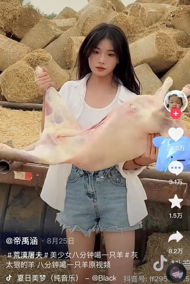 网红语录2022短句人生 抖音网红句子精选，网红语录2022短句人生（“灰太狼的羊”靠极致反差火出圈）