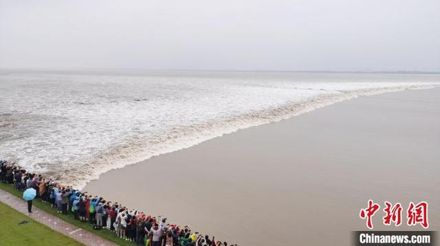 钱塘江在哪个省哪个市，钱塘区在哪个省哪个市啊（浙江钱塘潮各式“潮景”吸引八方来客）