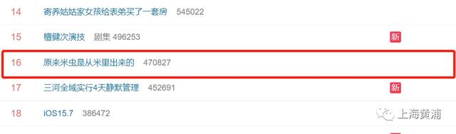 大米长虫子有什么方法可以处理，大米如果生虫子了怎么处理（试试这些方法轻松除米虫）