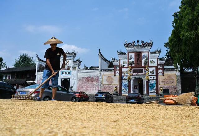 春节去哪里旅游比较好，春节去哪里旅游比较好便宜又好玩（四季畅玩雪峰山的攻略都在这里了）