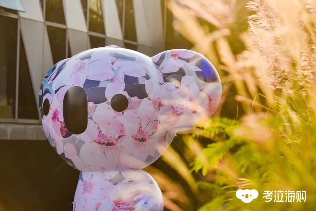 财年和自然年的区别，财年与自然年的区别（考拉从阿里动物园消失）