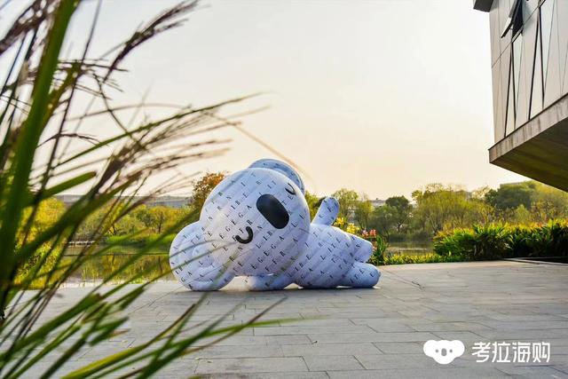 财年和自然年的区别，财年与自然年的区别（考拉从阿里动物园消失）