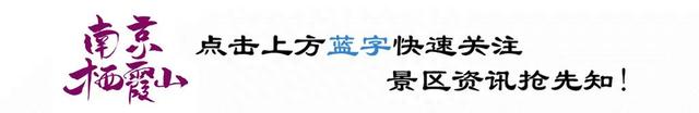 有个美好的地方叫栖霞山，它在缓缓的时光里，浸润其心