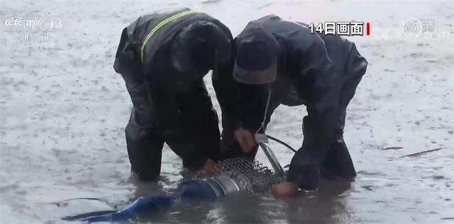 强排是什么意思，什么是强排（浙江宁波排水抢险工作加紧进行）