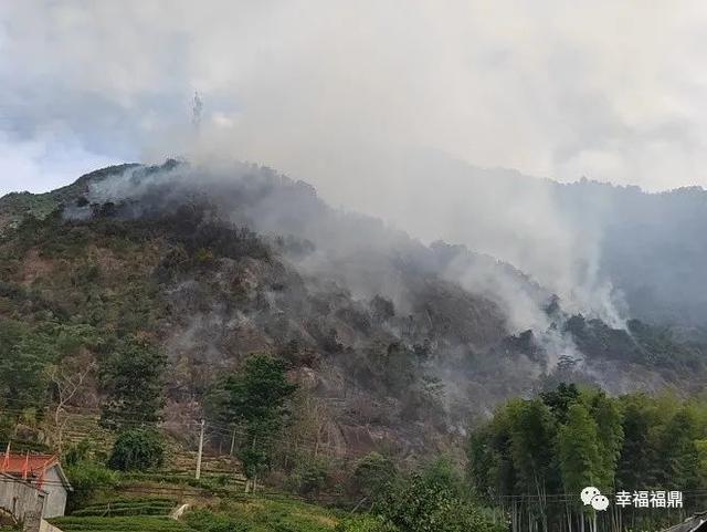 每年的防火期是几月到几月，防火期是几月份到几月份（全市范围内禁止一切野外用火）