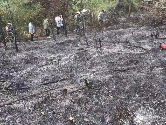 每年的防火期是几月到几月，防火期是几月份到几月份（全市范围内禁止一切野外用火）
