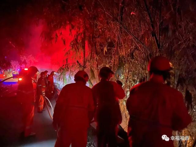 每年的防火期是几月到几月，防火期是几月份到几月份（全市范围内禁止一切野外用火）