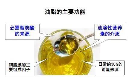 植物油是什么油，轻化植物油是什么油（好的食用油有哪些指标）