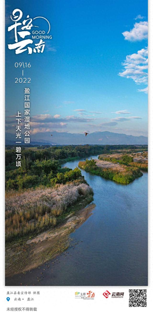 早安云南｜盈江国家湿地公园：上下天光一碧万顷，岸芷汀兰鸥鹭蹁跹