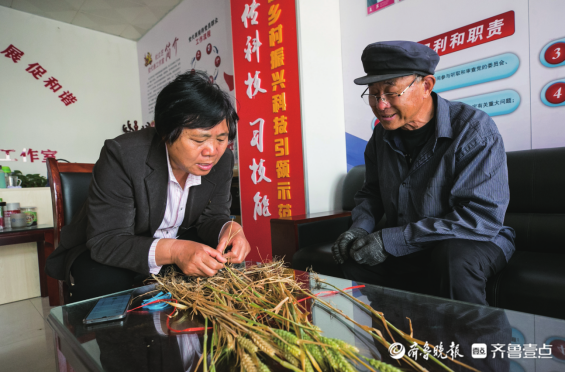 家乡的什么什么四百字作文四年级作文大全，我的家乡是个好地方四百字作文四年级上册（刚刚出版的这本书里满是瓜果飘香、谷麦满仓）