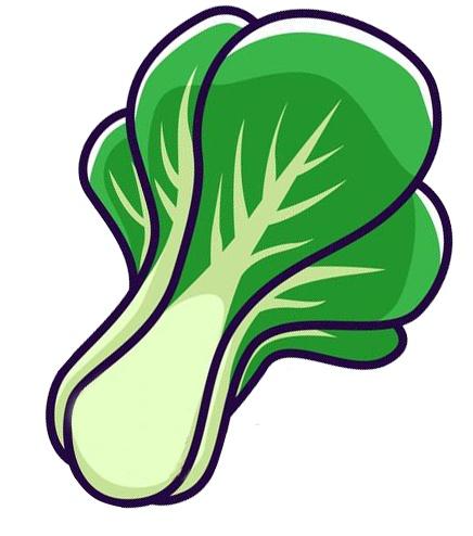 蔬菜有哪些至少20种,28种常用蔬菜有哪些(阳台也能