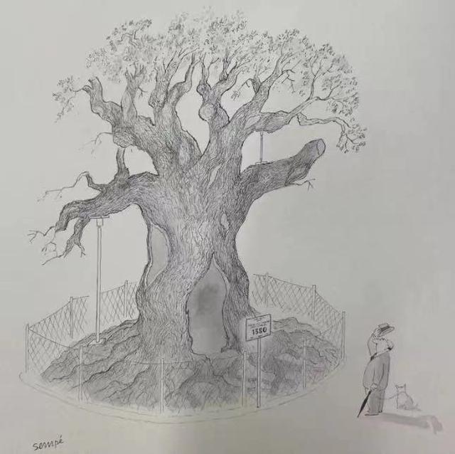 smile的过去式，smile的过去式和过去分词（桑贝：如果不欣赏人性的光辉）