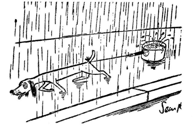 smile的过去式，smile的过去式和过去分词（桑贝：如果不欣赏人性的光辉）