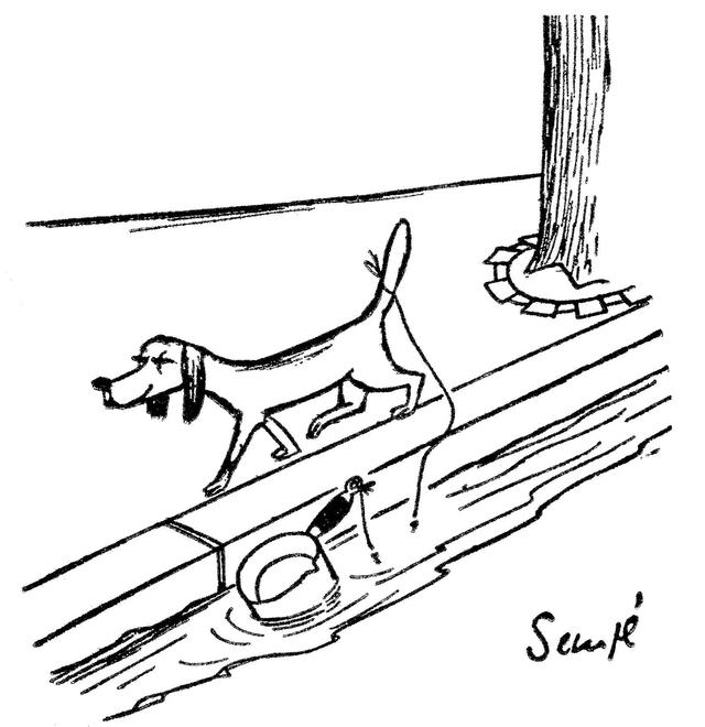 smile的过去式，smile的过去式和过去分词（桑贝：如果不欣赏人性的光辉）