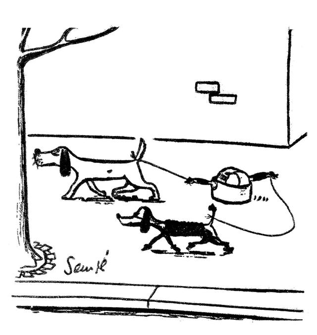 smile的过去式，smile的过去式和过去分词（桑贝：如果不欣赏人性的光辉）