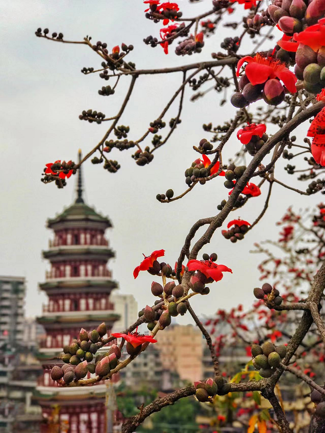 如何用QQ邮箱投稿呢，怎么用qq邮箱投稿Word文档（手机摄影全民挑战‘晒’”启动征集）