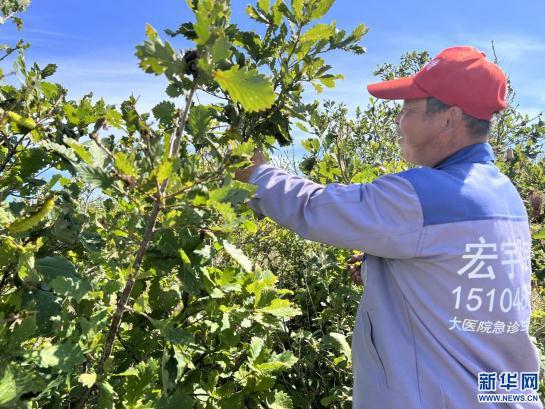 10千克的物品有哪些，100克的物品有哪些东西（内蒙古最大柞蚕生产基地5000余户蚕农迎来收获季）