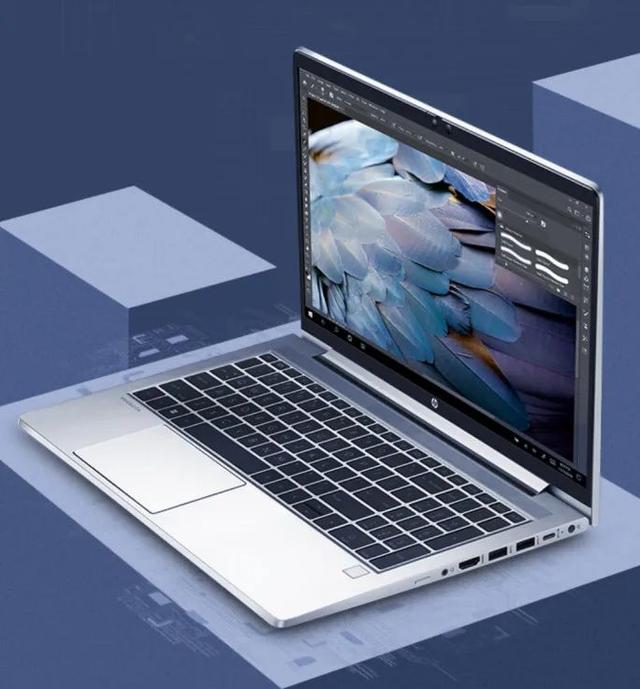 七寸是多大，七寸照片多大（你可能需要一块更大屏幕的办公本）