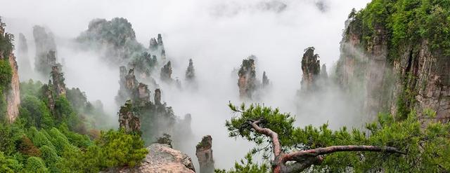 yoyo魏哲浩，谢娜狂秀恩爱表白张杰（请把张家界的风情带走）