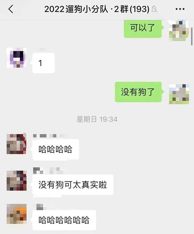 狗带什么意思，网络语:狗带是什么意思（上海一高校大学生争相遛流浪狗）