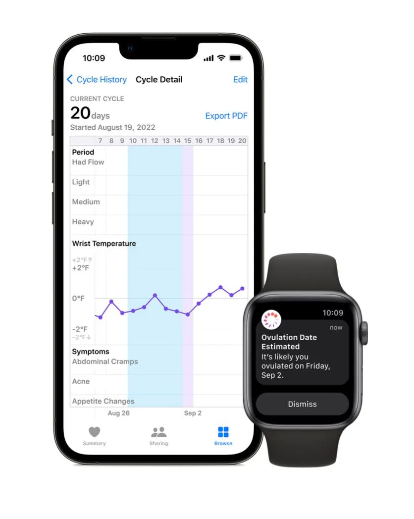 苹果手表有什么功能（Apple Watch功能解析）