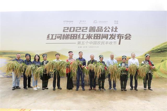 云南财经大学经济学院，云南财经类大学排名（红河梯田红米田间发布会暨乡村产业与人才发展计划公益研讨会在红河县举行）