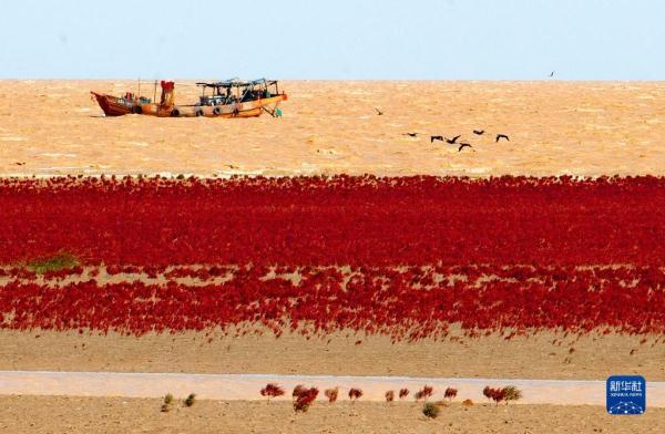 100kw用多大的电缆，100kw380v用多大电缆（生态黄河 幸福家园）