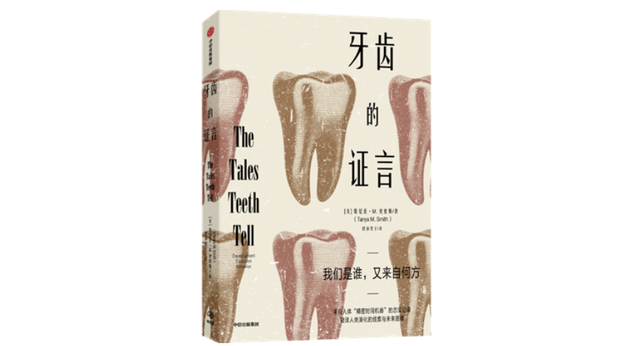 通常一年有几周，一年大概有几周（人们是如何保持口腔健康的）