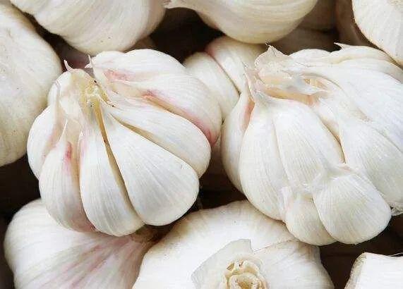 免疫力低下怎么办，女性免疫力低下怎么办（免疫力低下，容易生病怎么办）