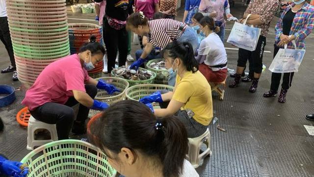 小黄鱼多少钱一斤，小黄鱼多少钱一斤市场价（肥硕的条虾、壮实的梭子蟹、鲜嫩的带鱼……东黄海等海鲜进入上市高峰）