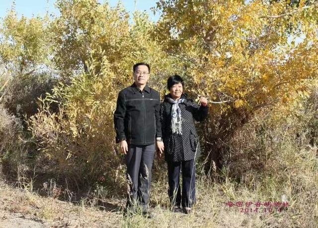 八月份有几个星期零几天，八月份有几个星期零几天十二月份有几个星期零几天（一场始于暮年的漫长搏斗）