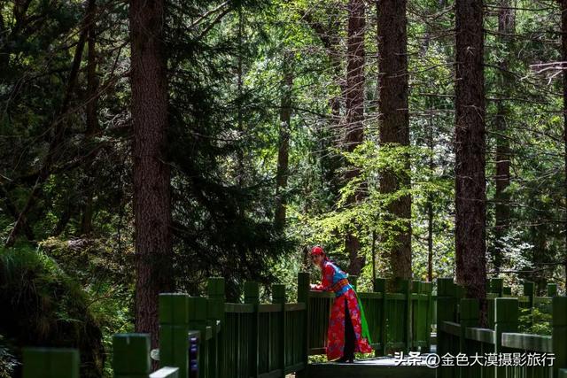 大峪沟旅游风景区介绍，最能治愈人心的便是这世间的绝美风景